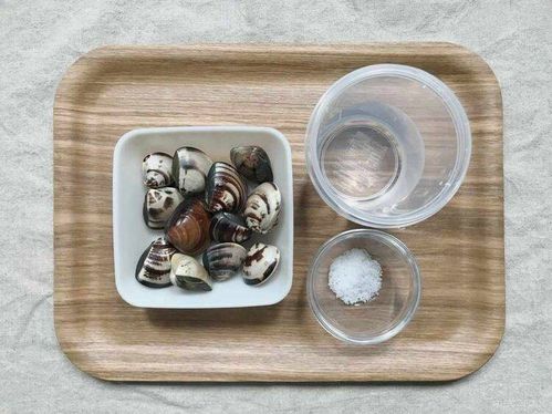 はまぐりの砂出しの写真素材94153633- PIXTA