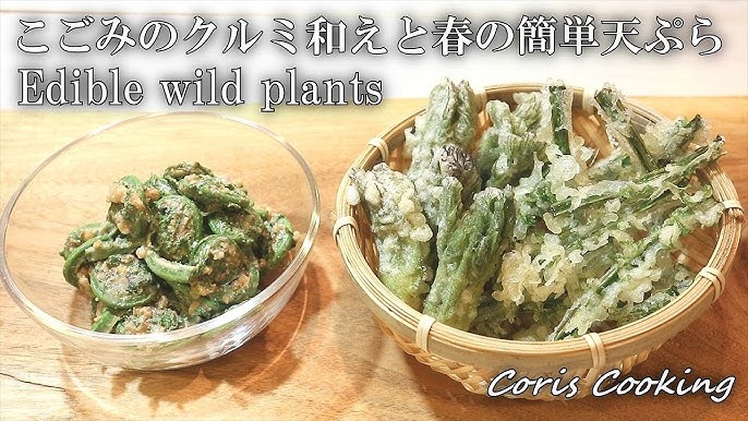 こごみのゆで方・下処理と簡単な食べ方：白ごはん.com