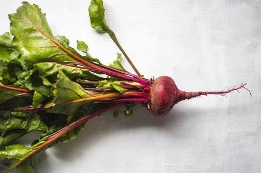 おしゃれな野菜のスケッチイラスト 背景フレーム イラスト素材6644064- フォトライブラリ