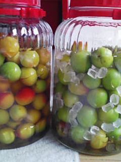 炊飯器で作る梅シロップ＆ジャム