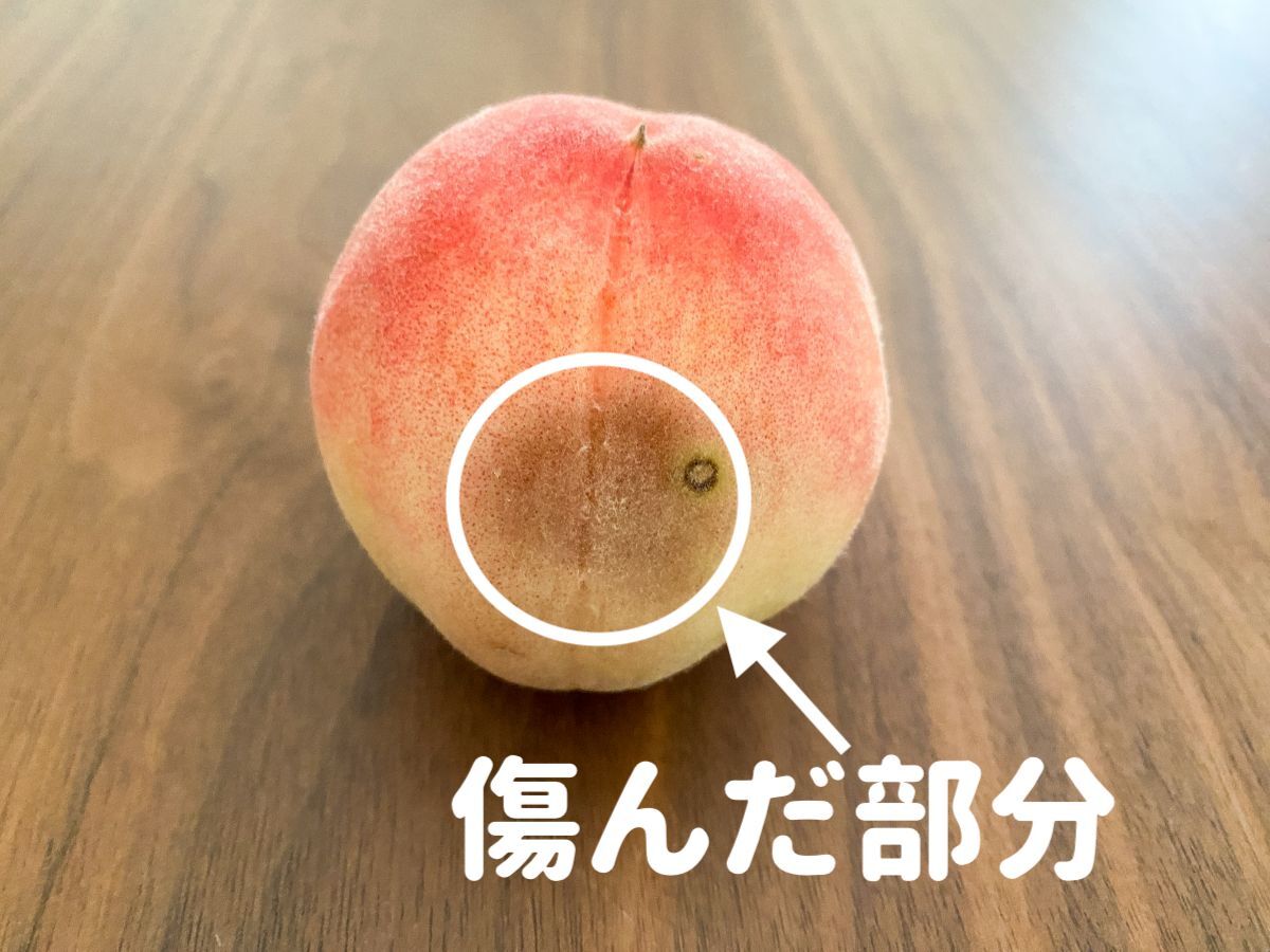 手にカビが生えた桃 腐った食べ物Premium写真