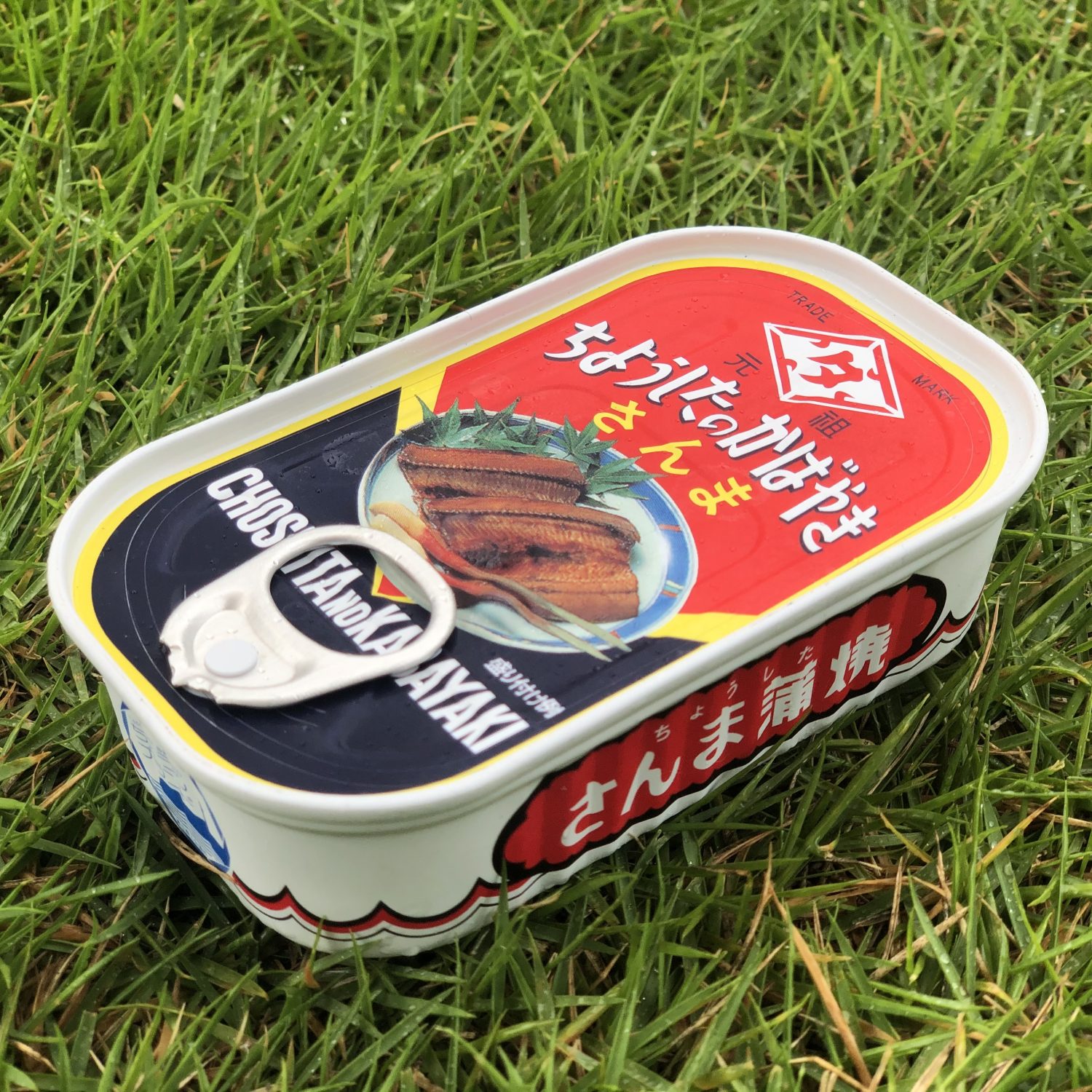 人気の缶詰使ってアレンジレシピとして工夫したキャンプ飯！缶詰の注意点もご紹介