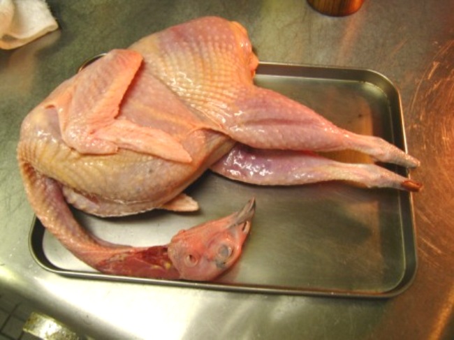 季織亭のキジのキジ : ラーメン食べたら書くブログ