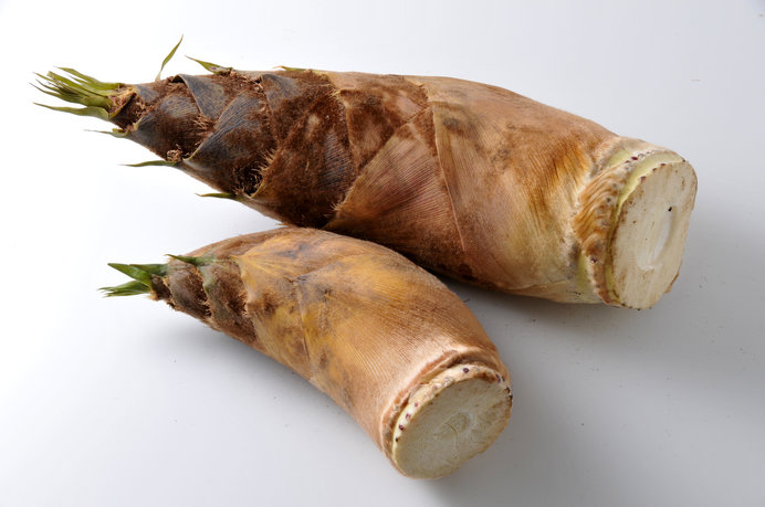 山菜レシピ根曲がり竹たけのこ竹の子筍竹の子汁山菜山菜採り味噌汁みそ汁サバ缶鯖缶姫竹笹竹料理料理男子旬春springjapanesefoodjapaneseculture