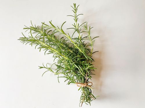 バジルが手元にないときに代用できる食材7つ – シュフーズ