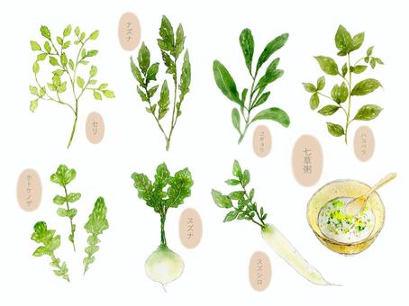 イラストレーターとき on X: 