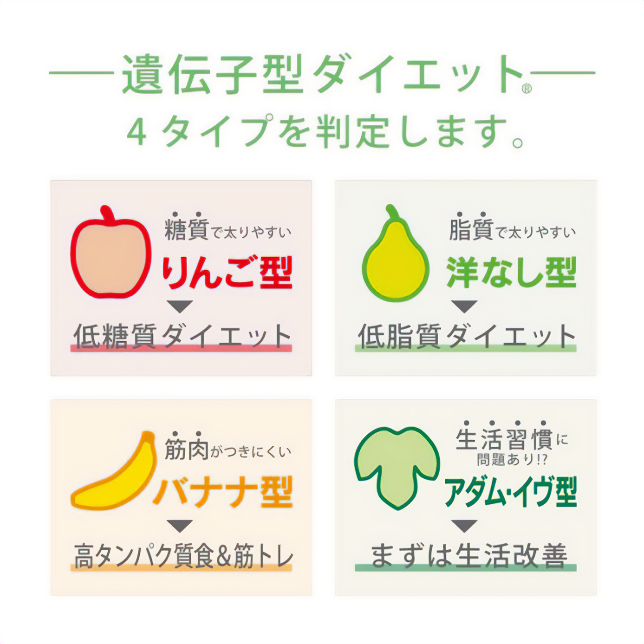 りんごダイエットとは？糖質やカロリー、食べ方を詳しく解説！からだにいいこと