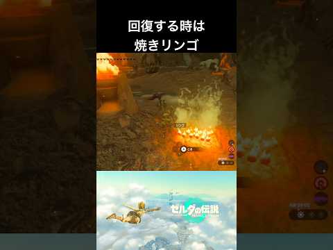 ティアキン リンゴの入手場所と料理レシピ ゼルダの伝説ティアーズオブザキングダム- ゲームウィズ