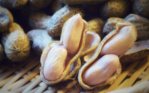 落花生の茹で方を解説！圧力鍋を使った時短の茹で方や冷凍方法もご紹介！ふるなび公式ブログ ふるさと納税DISCOVERY