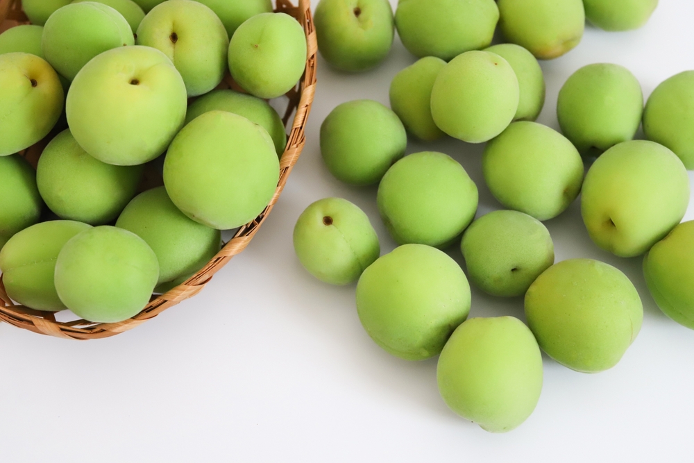 栄養士が考えた カラダにうれしいフルーツ青汁 3g×20包入カワチ薬品