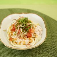 夏にぴったり！冷やし豚しゃぶうどんのレシピ2025 年のリアルなLemon8ユーザー体験