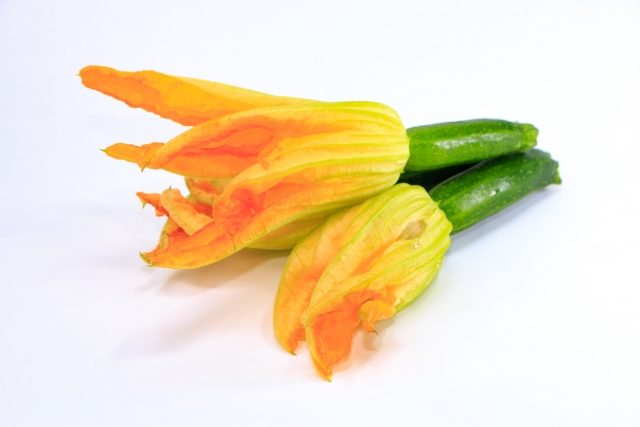 知らないと危険！苦いズッキーニ函館料理大学 シェフ サトウ サトウシェフ熊猫社中洋食キッチンSato