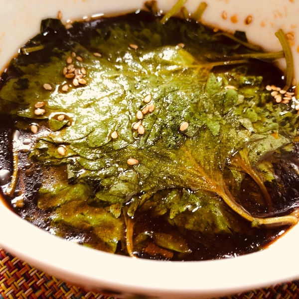 大葉を大量消費！多彩なレシピから保存方法まで、食事もお酒も楽しくなる大葉活用術