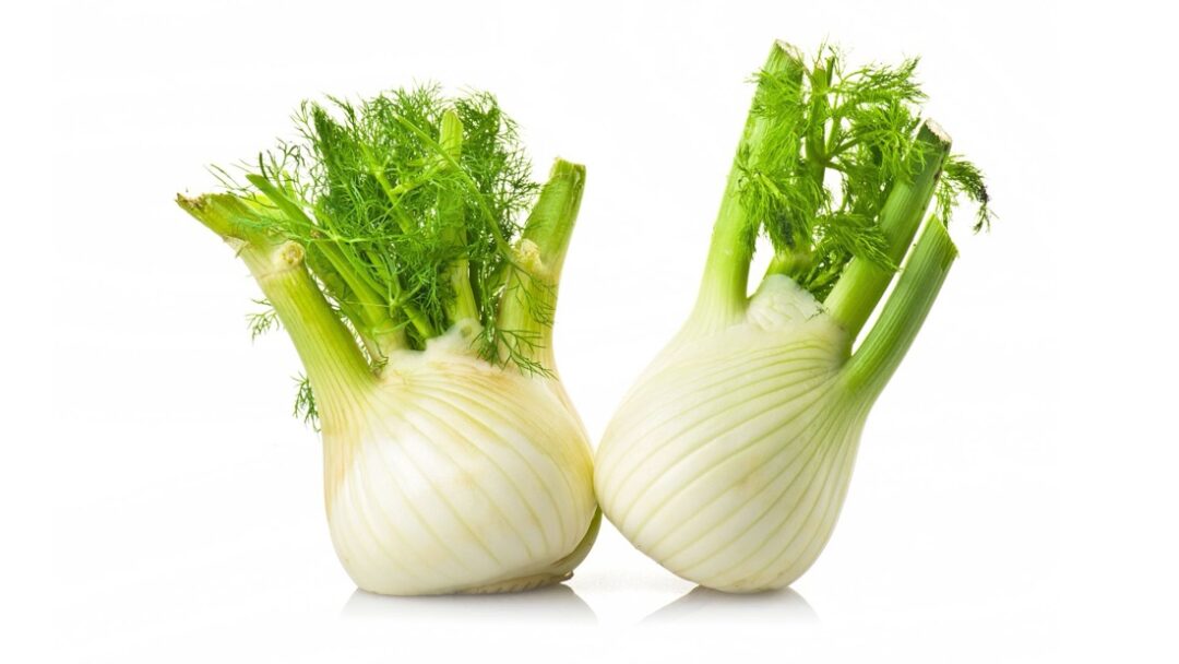 大きなネギみたい！海外の野菜リーキの食べ方。日本のネギとの違いは？ 独Porree、英語leekドイツざんまい