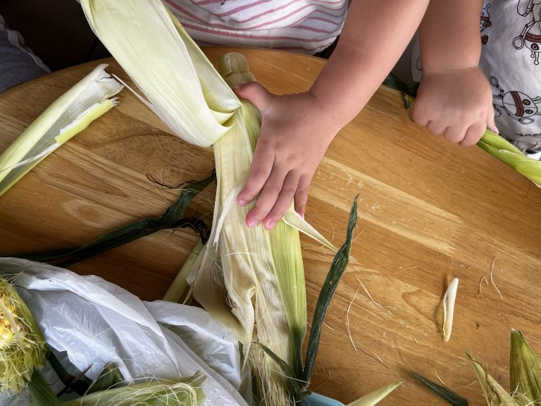 とうもろこしの皮むき体験！キッズラボ株式会社認可保育園 企業主導型保育所 運営