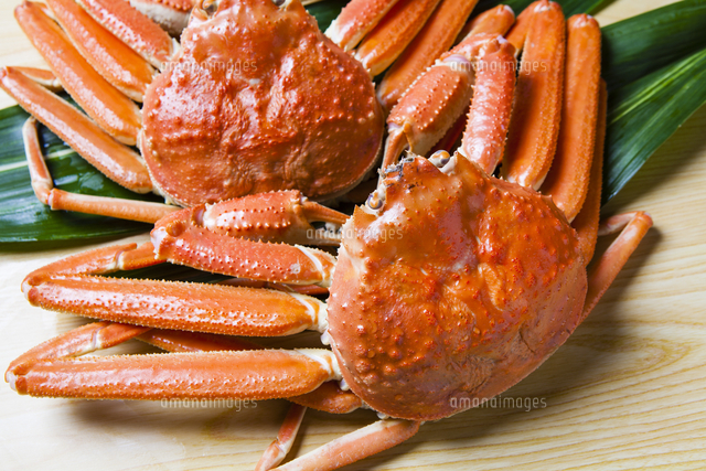 水路のサワガニの無料の写真素材 - ID.152フリー素材 ぱくたそ