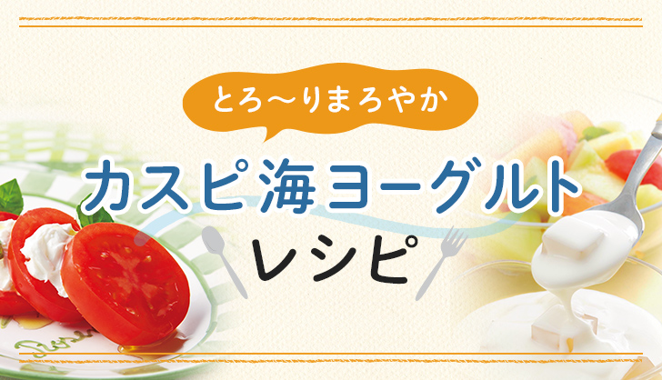 フジッコ水切りヨーグルト容器水切りバスケット カスピ海ヨーグルト 専用容器Rokkoner RK