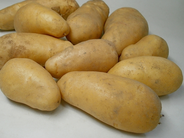 メークイン M業務用食材の仕入れなら八面六臂