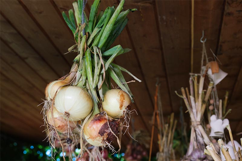 新玉ねぎは「常温保存？」or「冷蔵保存？」料理人の回答に 『モヤモヤが吹き飛んだ！』 ぱぷちゃん- エキスパート - Yahoo!ニュース
