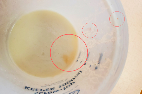 甘酒の保存方法と日持ち。冷凍と冷蔵の2パターン。やまでら くみこ のレシピ