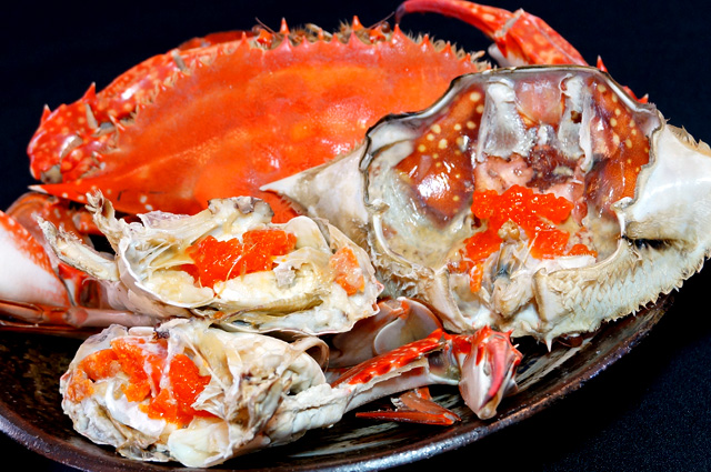 Amazon.co.jp: 港ダイニングしおそう 生 ずわい蟹 カット済み1kg 総重量1.3kg約2人前 高鮮度 お刺身OK ズワイガニずわいがに ポーション むき身 冷凍 かに鍋 かにしゃぶ プレゼント 贈り物 カニ 蟹化粧箱入りギフト : 食品・飲料・お酒