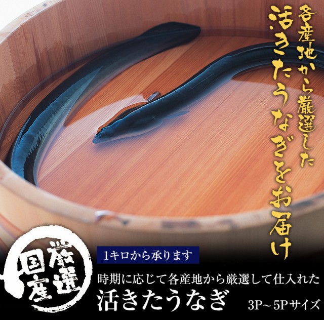 ご主人の解説がすごかった「活鰻 いきうなぎ 」札幌市厚別区お専務通信