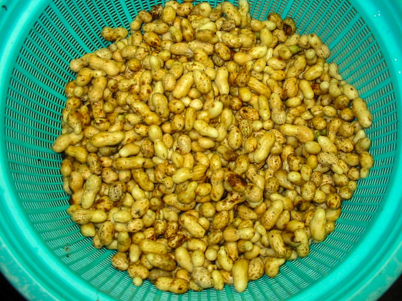 茹で落花生 – 株式会社じょうげん漬物の素 醸源 じょうげん の販売