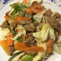 大豆ミート 大豆肉 まんま大豆の回鍋肉 アプリシエ コーポレーション