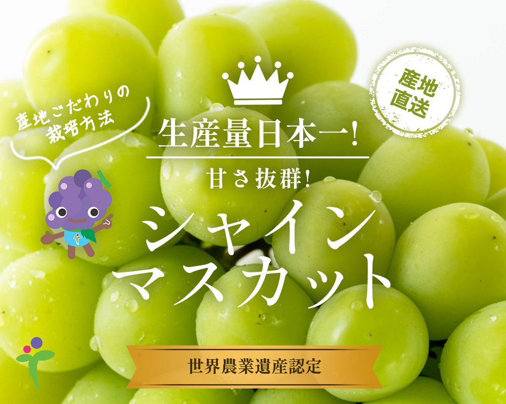 フルーツを包むアレ。そんな名前が！ まだある!! アレにもコレにも！ モノのなまえ事典 2毎日が発見ネット