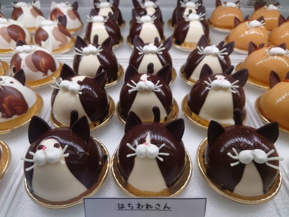 猫型の特注デコレーションケーキモンプティプッサン名古屋市緑区猫型ケーキバースデーケーキプレゼントケーキフルーツケーキチョコレートケーキチョコレート猫部ねこのいる暮らしねこすたぐらむあいなごテイクアウト愛知県楽天市場Yahoo