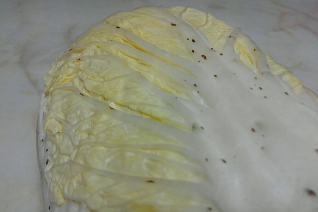 白菜に栄養はある？白菜の栄養価を徹底調査！ONIGO通信スーパー価格で、すぐ届く。ONIGO