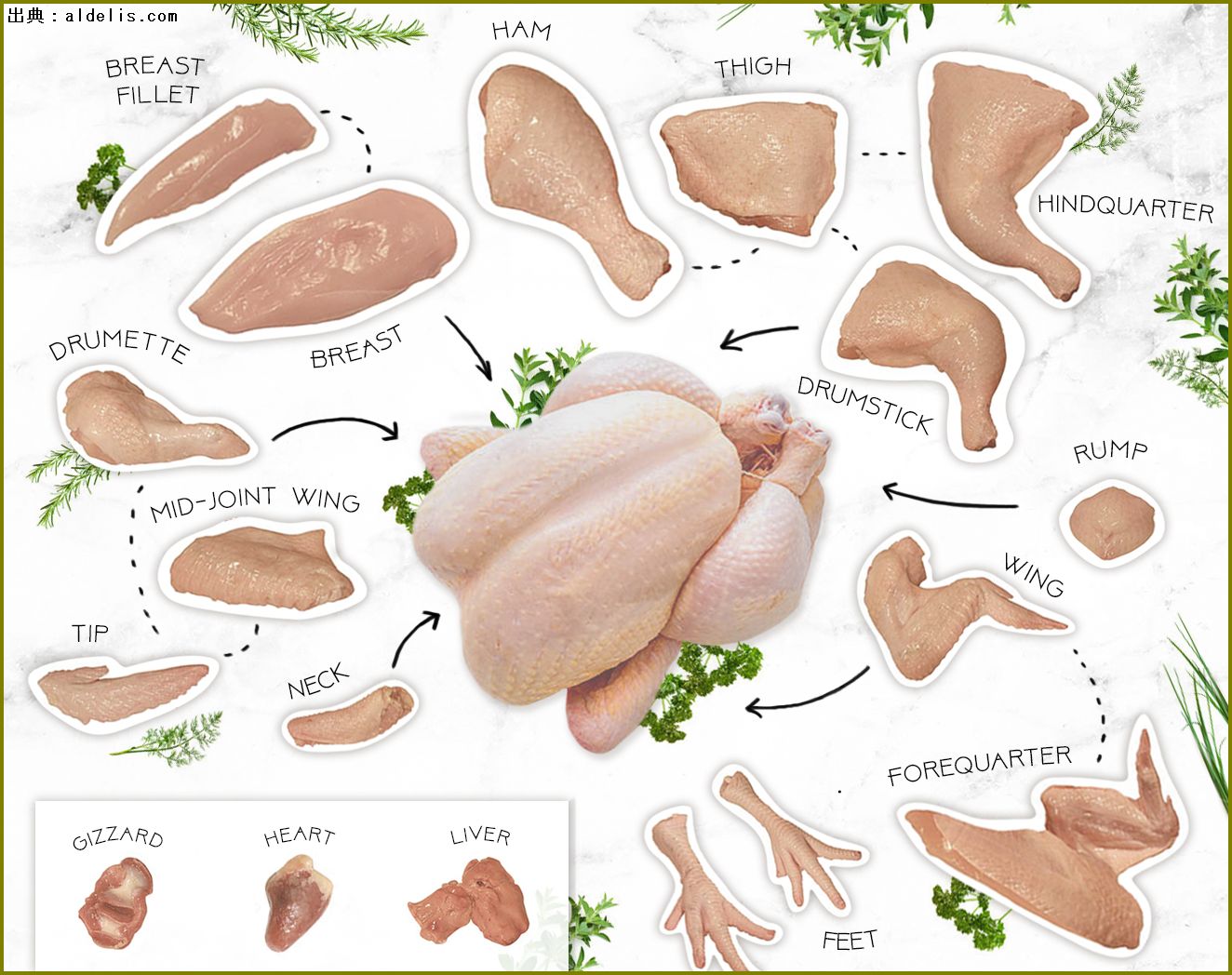 オリジナルチキン ケンタッキーで一番好きな部位はどこ？トップ5！！ ゆっくり解説