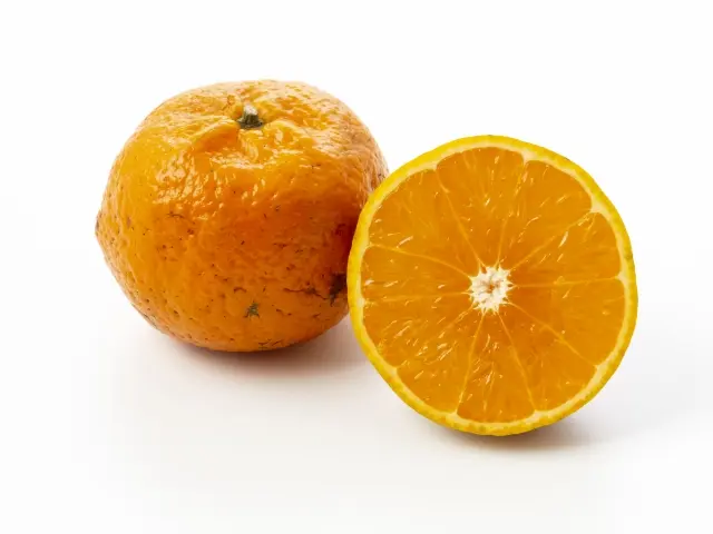 🍊レアな沖縄柑橘が入荷！「かぶーち」「たんかん」「たるがよー」 などなど🍊オザキフラワーパーク