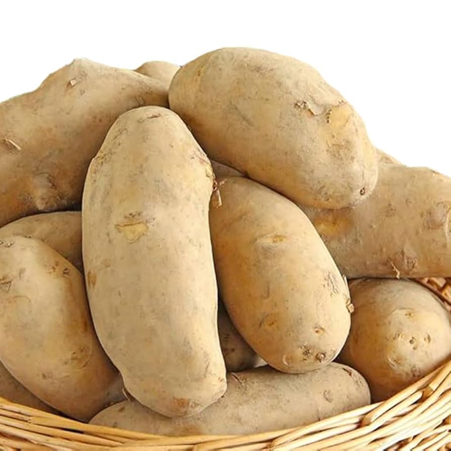 じゃがいも素材別 野菜cotogoto コトゴト