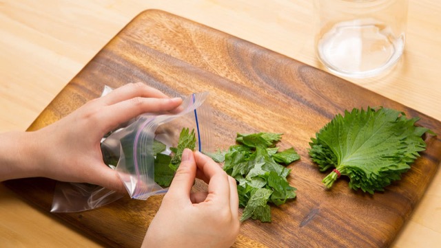 意外と試してない？紫蘇の冷凍保存