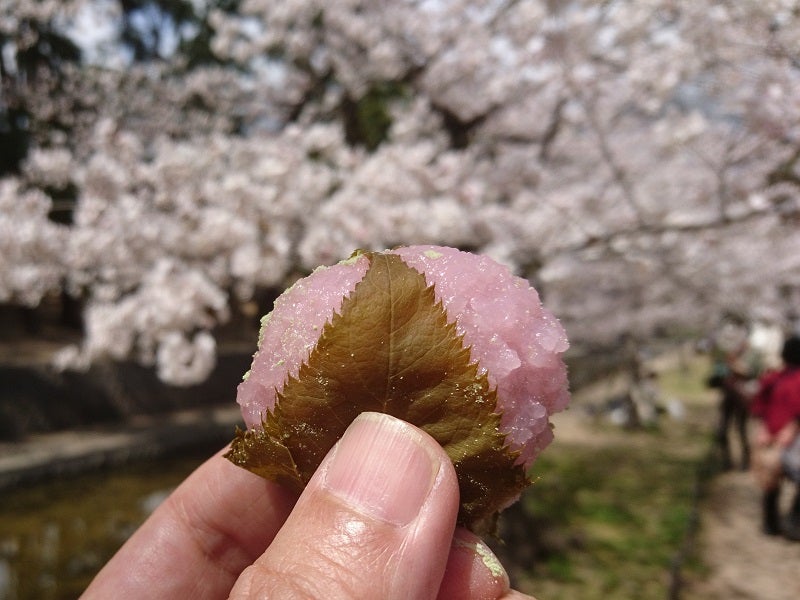 市販商品一覧広島にあるお餅屋さんです。 鯉城餅有限会社