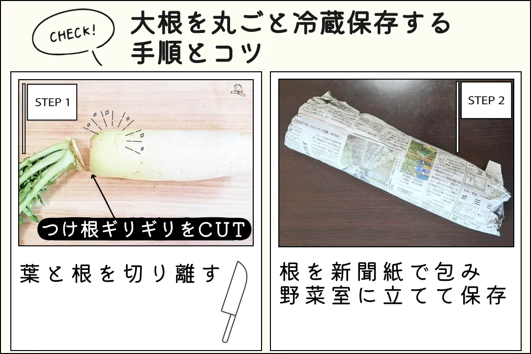 大根を夏に常温保存しちゃダメなの？検証してみたら意外な結果に！生活知恵袋
