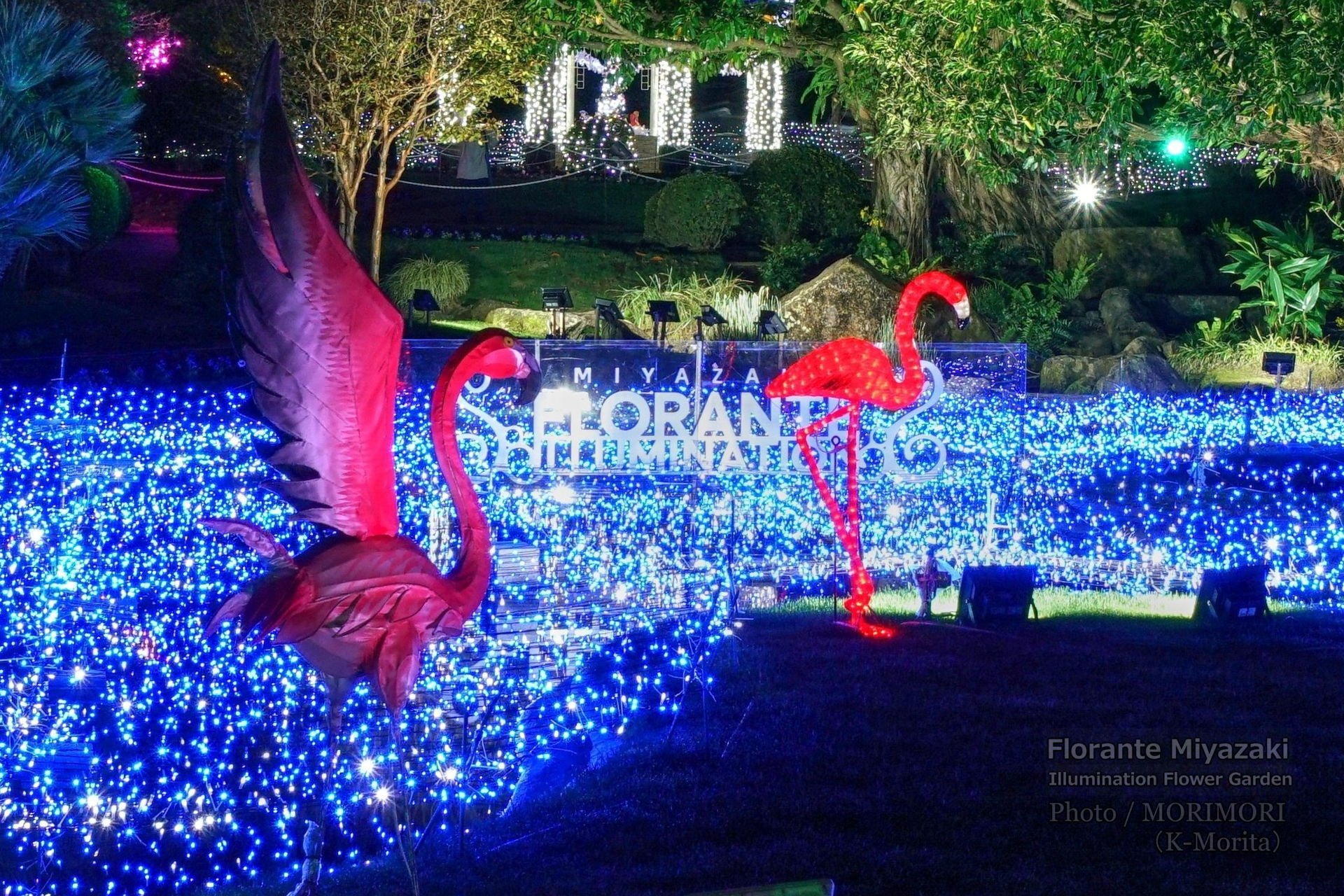 宮崎⑦フローランテとおぐらでチキン南蛮美味しいもの大好き うに子の家と旅とグルメ