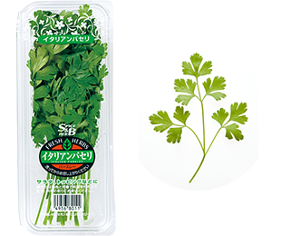 バジル、チャービル、イタリアンパセリを収穫してベランダハーブを食べる、飾る一人暮らしAll About