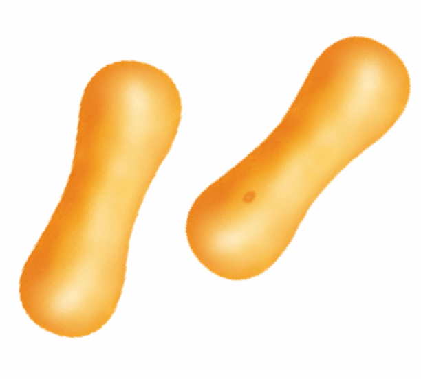 スクープ あのお茶の間の人気者が「脱いだ」！『チョコぬいじゃった！ きのこの山』と一番相性がいいのはまさかのロケットニュース24