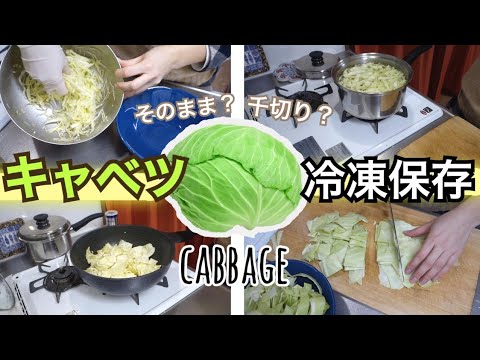 キャベツの冷凍がまずい原因と対処法！変色・水っぽい？ - Trairy Media