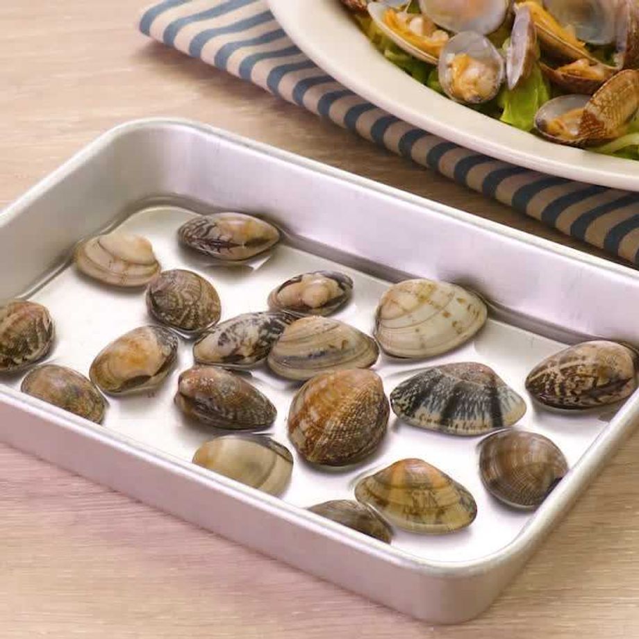 あさりの砂抜きが簡単にできる！ いますぐ試したい目からウロコの塩水の作り方 - レタスクラブ