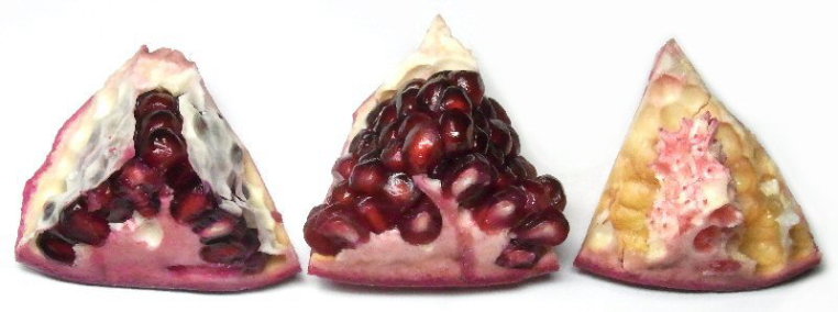 ザクロとアボカド・キウイサラダのレシピ 甘酸っぱさが◎