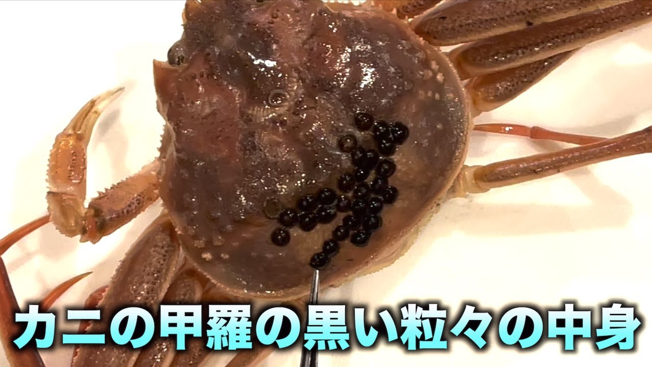 超絶閲覧注意！！カニの甲羅の