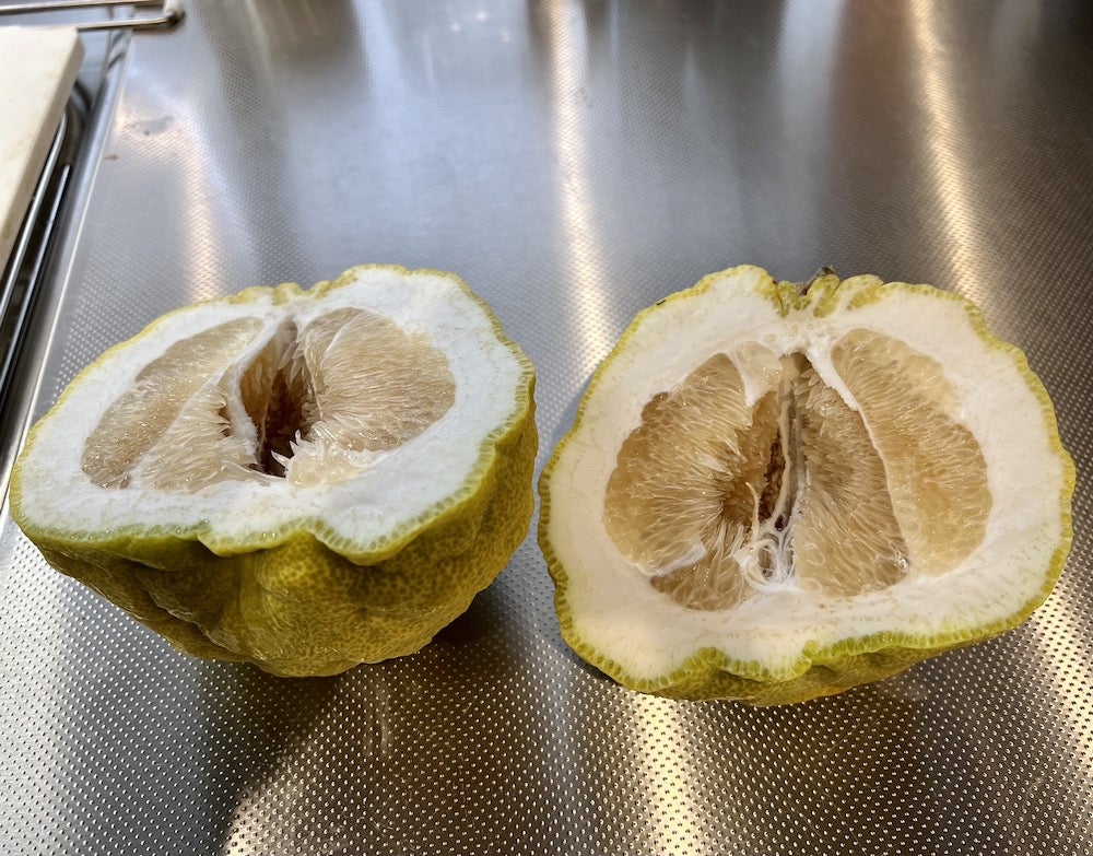 鬼柚子・続報 - 遊びをせんとや生まれけり