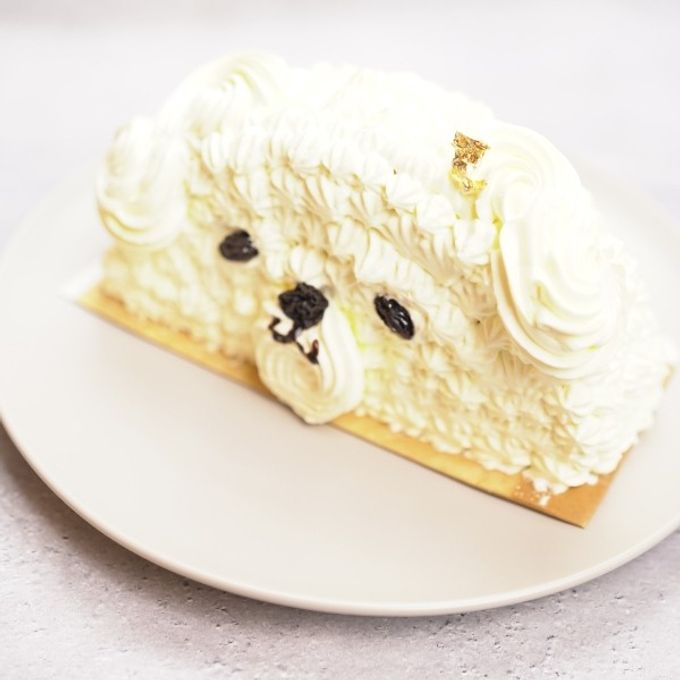 食べるのがもったいない！ くまさんハーフケーキ