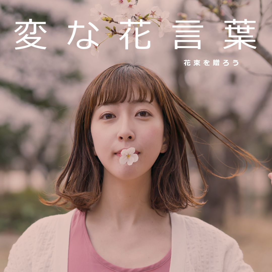 プリザーブドフラワー 花材 とりよせ品 アスパラ・スプリンゲリー ドライフラワー 素材 パーツ 材料 グリーン リーフ 葉 プリザグリーン 卸大地農園 : 造花ドライフラワー専門問屋花びし - 通販 - Yahoo!ショッピング