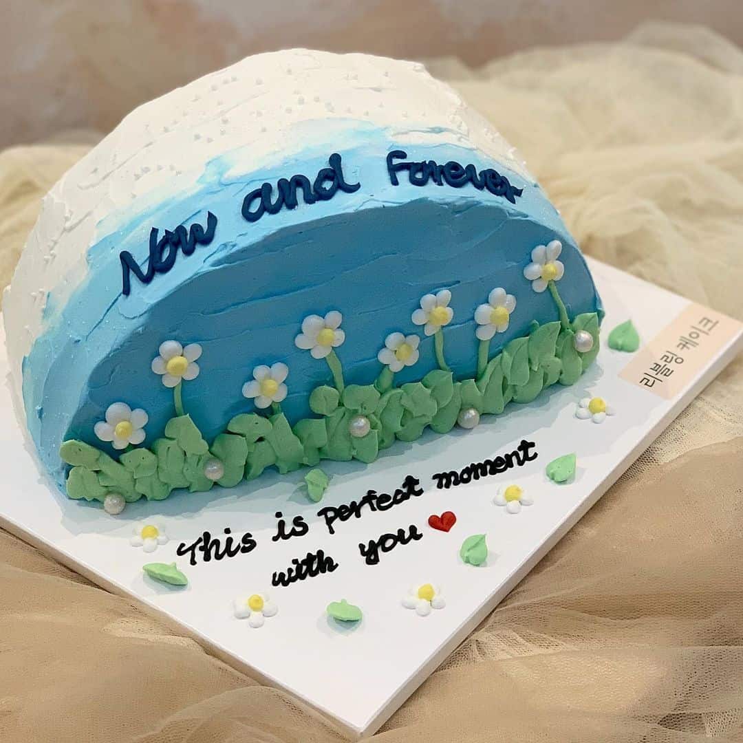 韓国風クリスマスケーキ ハーフケーキ