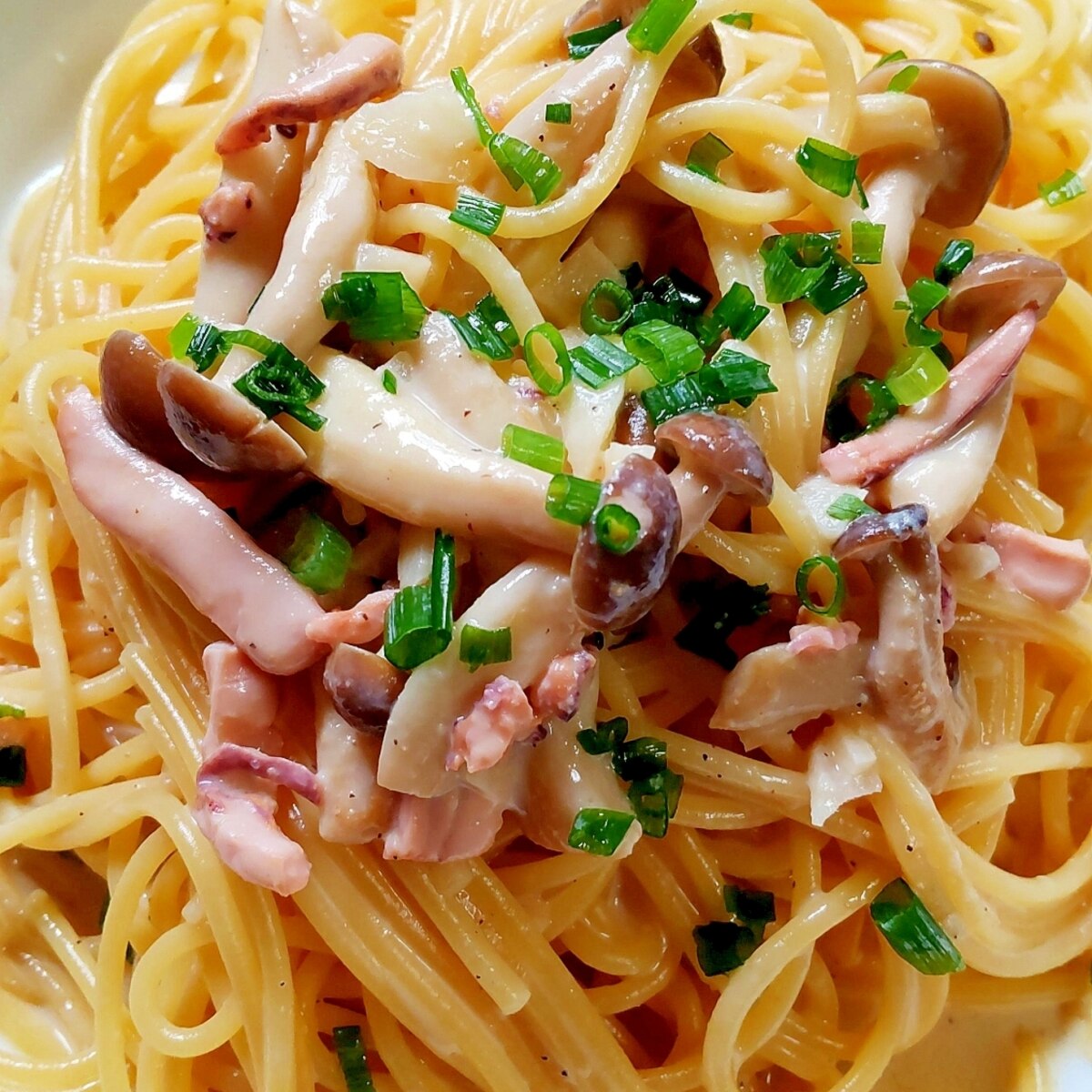 イカの塩辛クリームパスタ』ソースが美味いです！！オススメでTRAFFIC 52