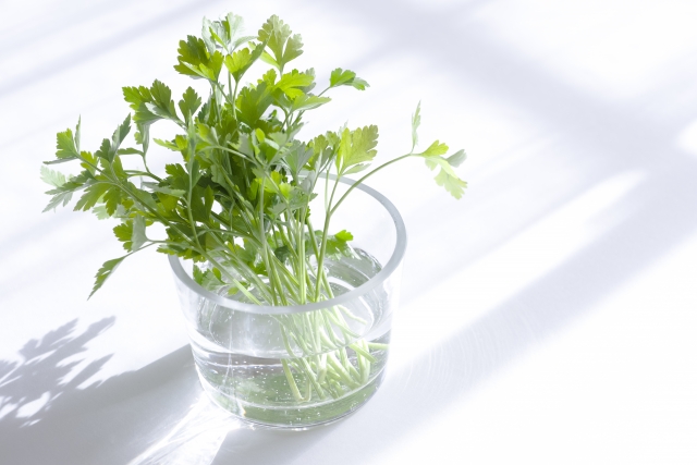 週末発送☆数量限定 マイクロハーブ ６種セット 各２g野菜セットの商品詳細ポケットマルシェ産地直送で旬の食材が生産者 農家・漁師 から届く